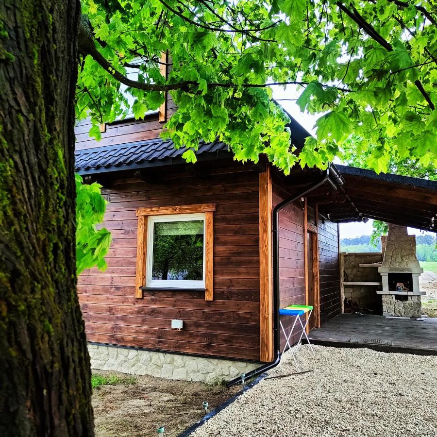 Pod Klonami - Roztocze Apartment Jozefow (Bilgoraj)